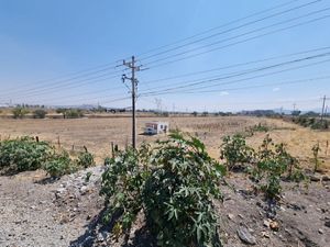 Terreno en carretera al Salto