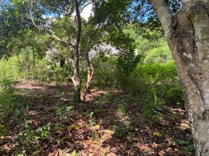 🌴 Terreno en Venta en Bacalar, Quintana Roo 🌴