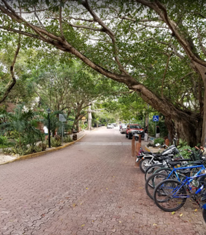 Playa del Carmen, Q. R.- Lujoso Pent-house AAA en la mejor y más bonita calle.