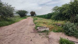 VENTA DE HECTAREAS EN PALO ALTO