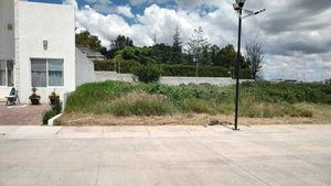 VENTA DE TERRENO EN TARAY