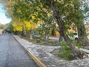 TERRENOS EN EL CORAZÓN DE ARTEAGA COAHUILA