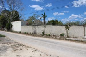 TERRENO EN VENTA EN MERIDA, YUCATAN. CHICHI SUAREZ.