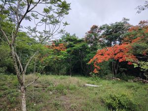 Terreno en Venta Berriozabal Chiapas