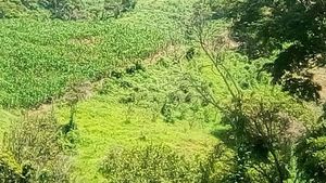 Rancho en Venta Cuauhtémoc Mpio. Villaflores, Chiapas