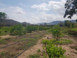 RANCHO EL CARMEN EN VENTA MPIO. CINTALAPA, CHIAPAS