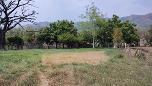 Rancho en Venta en Tapanatepec Oaxaca