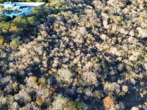 TERRENO DE UNA HECTÁREA EN VENTA EN CHOLUL