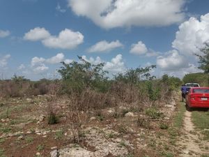 TERRENO EN VENTA EN SINANCHÉ, YUCATÁN