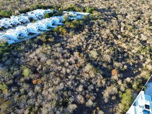 TERRENO DE UNA HECTÁREA EN VENTA EN CHOLUL