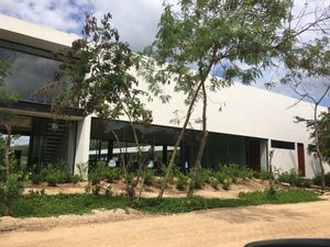 5000 m2 en Tixkuncheil, Merida ideal para desarrollar