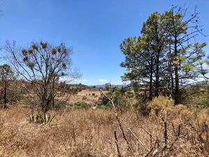 Terreno en el pueblo de Tapalpa en Privada.