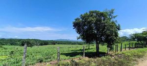 Terreno para Siembra 600 HECTAREAS EN CERRO LA HUERTA JALISCO