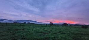 Terreno para Siembra 600 HECTAREAS EN CERRO LA HUERTA JALISCO