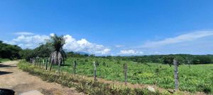 Terreno en La Huerta Jalisco, 34 hectáreas con pozo de agua y luz para siembra