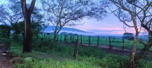 Terreno para Siembra 600 HECTAREAS EN CERRO LA HUERTA JALISCO