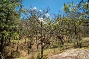 TERRENOS EN VENTA EN HACIENDA FRANCISCO EN COTO  VALLE ABIERTO