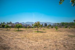 TERRENO PARA DESARROLLO EN BOSQUES DE SANTA ANITA