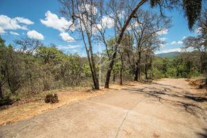 TERRENOS EN VENTA EN HACIENDA FRANCISCO EN COTO  VALLE ABIERTO