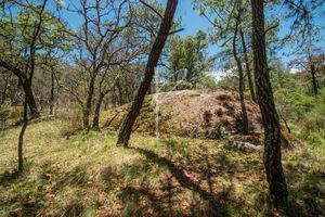 TERRENOS EN VENTA EN HACIENDA FRANCISCO EN COTO  VALLE ABIERTO