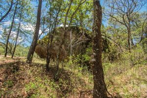 TERRENOS EN VENTA EN HACIENDA FRANCISCO EN COTO  VALLE ABIERTO