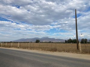 Terreno en renta Valle de Guadalupe 3000M2