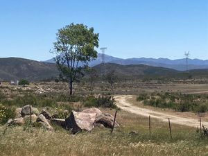 Terreno Valle de Guadalupe