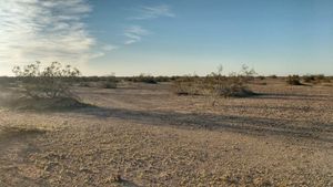 100 hectáreas cerca de Mexicali