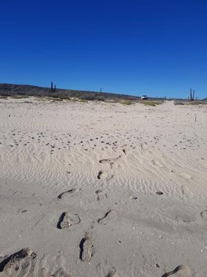 Playa Santa Inés BCS