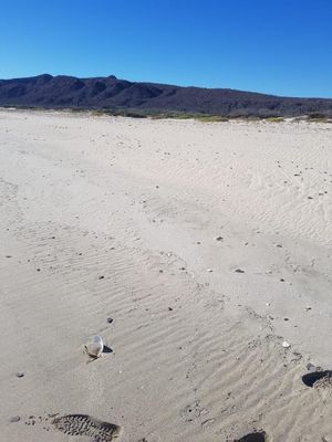 Playa Santa Inés BCS