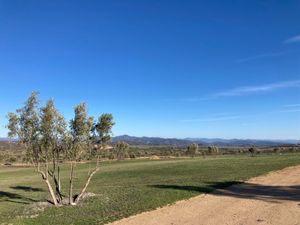 Terreno Valle de Guadalupe