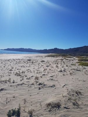 Playa Santa Inés BCS