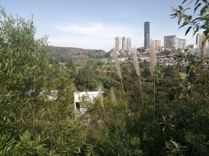 Terreno en Venta en Bosque Real