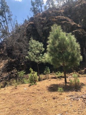 Terreno barato en Tapalpa jal