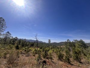 Terreno Mezcal Manso Tapalpa