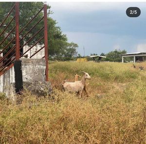 Venta de Terreno en Montemorelos