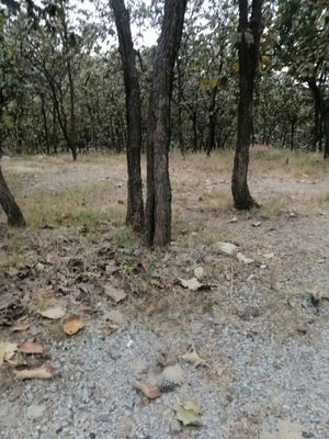 Terreno en Bosques de  bugambilias