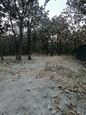 Terreno en Bosques de  bugambilias