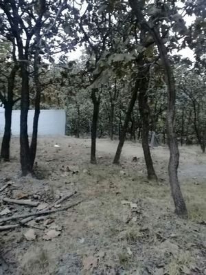 Terreno en Bosques de  bugambilias