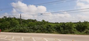 Terreno Venta Mérida, Yucatán, Periférico, Chichen Realty