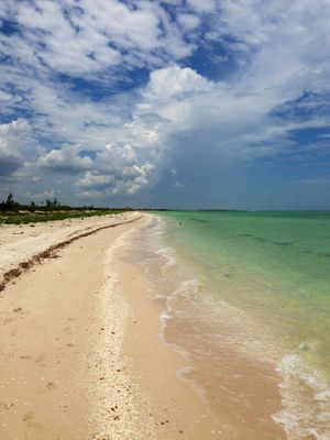 Terreno frente al mar en Venta, Celestún, Yucatán