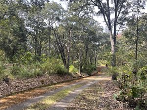 TERRENOS CAMPESTRES RESIDENCIALES EN RESERVA DE LOS ENCINOS.