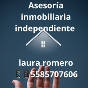 Asesoría inmobiliaria independiente