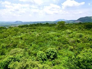 RANCHO EN VENTA EN ACATLAN, JUÁREZ-