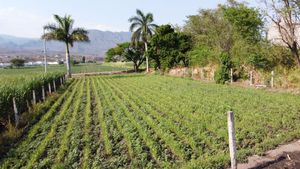 Venta de terreno en Oacalco Morelos.