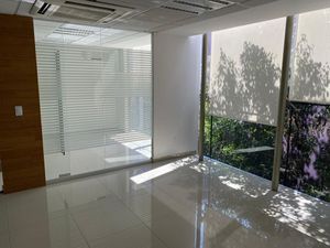 Oficinas en renta en Av. Insurgentes Sur