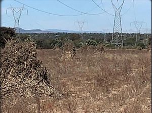 Venta Terreno, 135 hectáreas para parque industrial, Guanaju