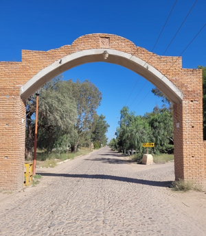 TERRENO EN FRACC REAL DEL POTOSÍ