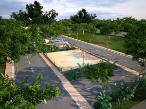 Media Cancha de Baloncesto y Pista de Jogging