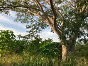 VENTA DE TERRENO EN COL. MÉXICO OTE.